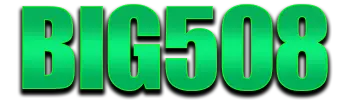 Logo BIG508